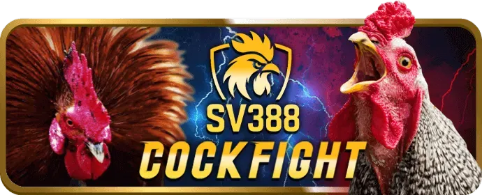 Cá cược eSports tại ev88 nhà cái